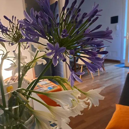 Apartamento A Casa Di Mari Un'oasi In Citta