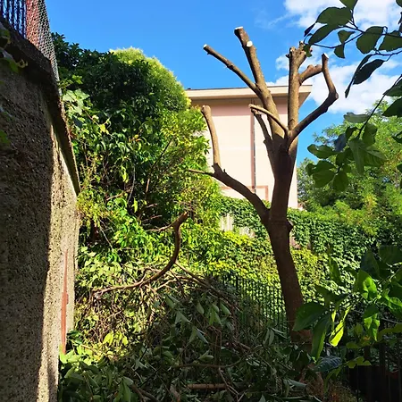 A Casa Di Mari Un'oasi In Citta لا سبيتسْيا