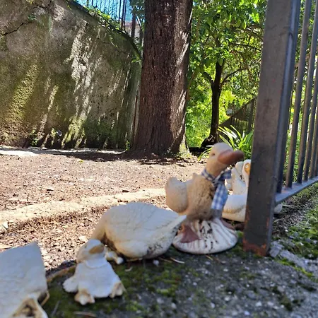 A Casa Di Mari Un'oasi In Citta La Spezia